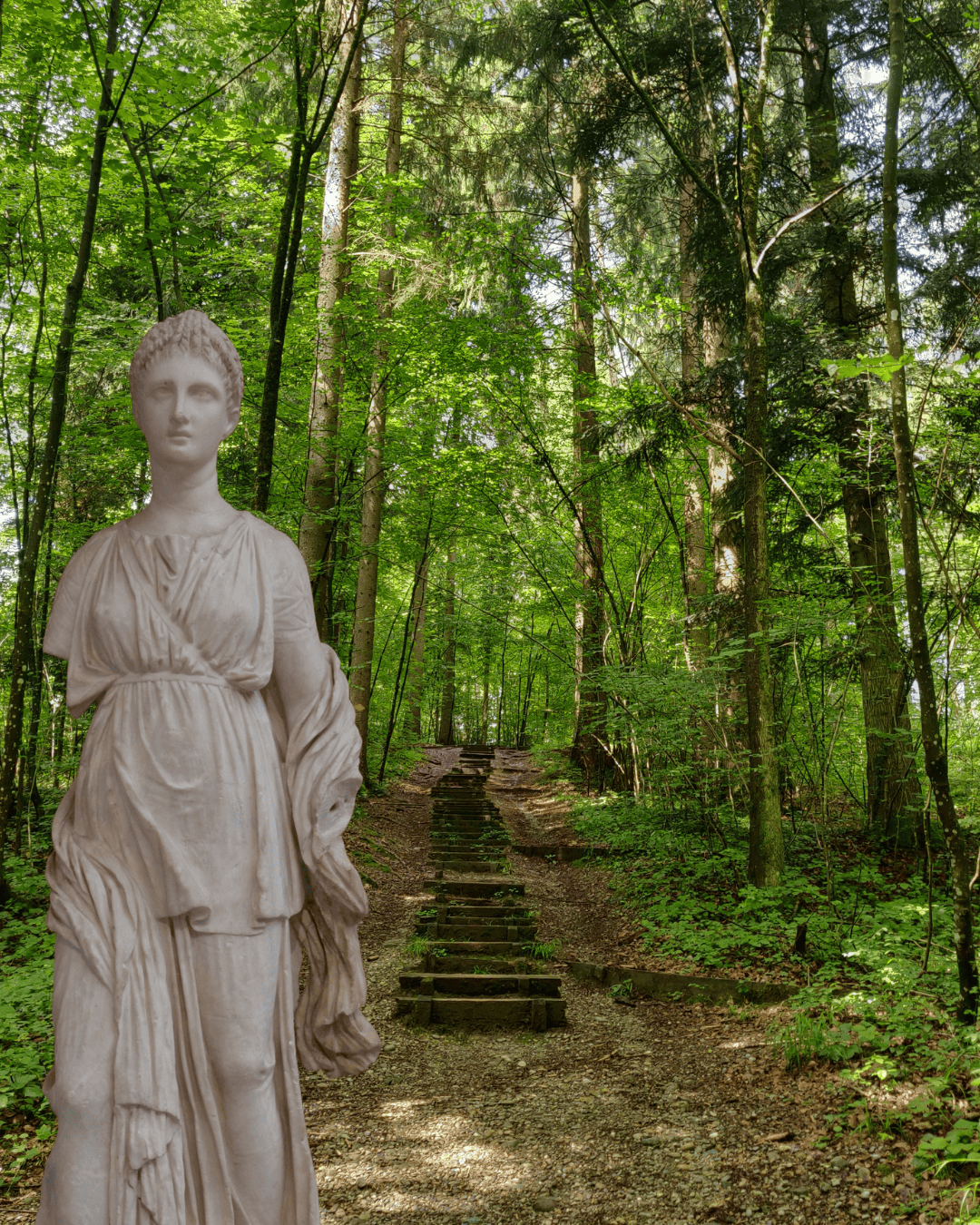 séance breathwork le Voyage d'Artémis - fôret