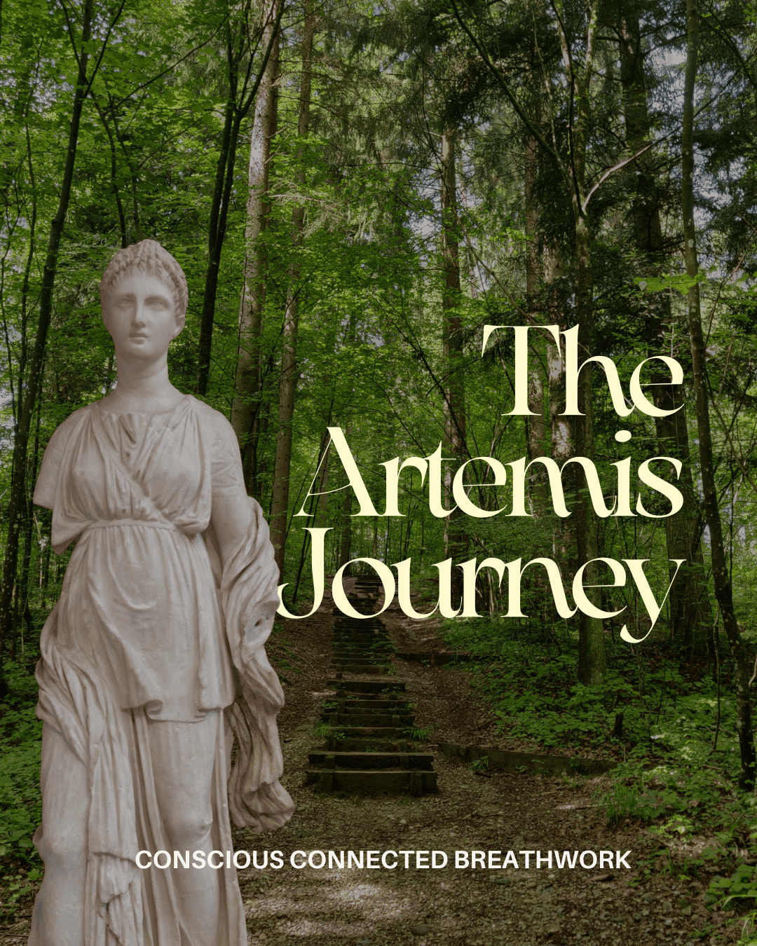 The_Artemis_Journey